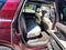 2020 Ford Expedition Max XLT